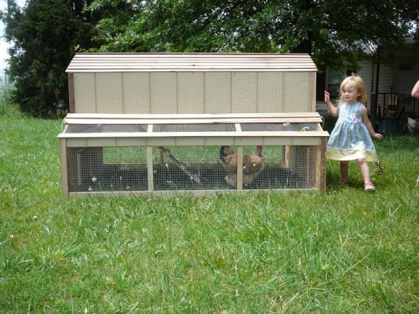 Chickens 101: Designing Your Chicken Coop | Earthineer